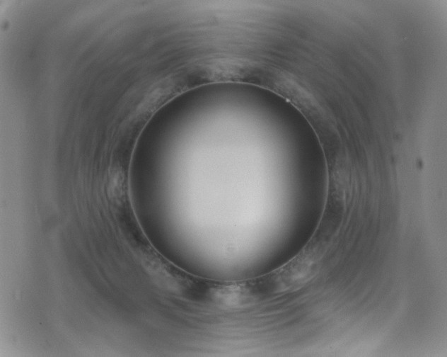 X0000076060079200609221134