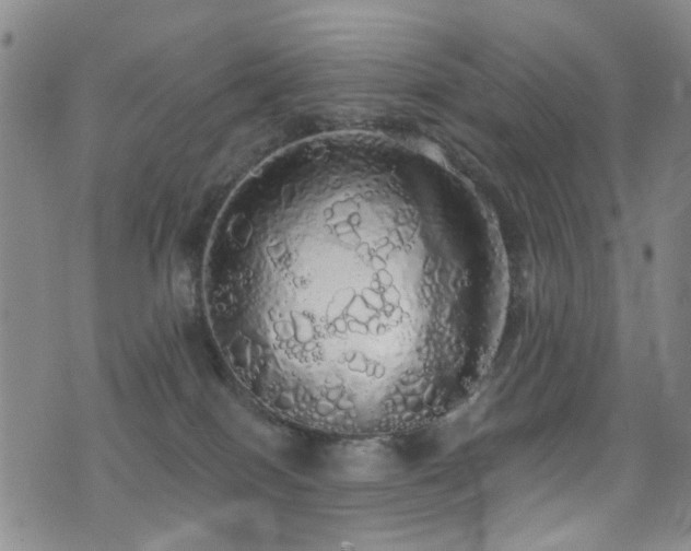 X0000076060086200609221134