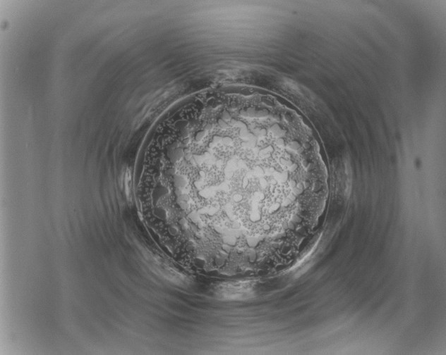 X0000076060094200609221134