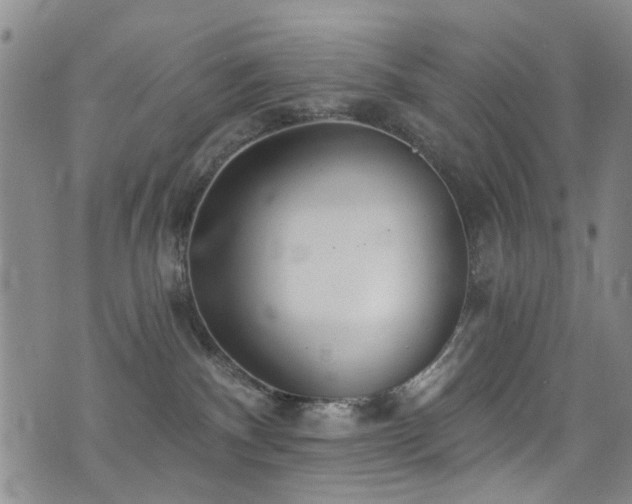 X0000076060140200609221133