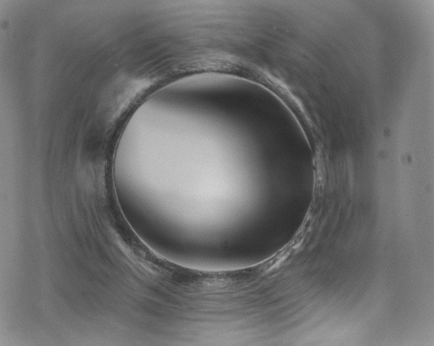 X0000076060154200609221132
