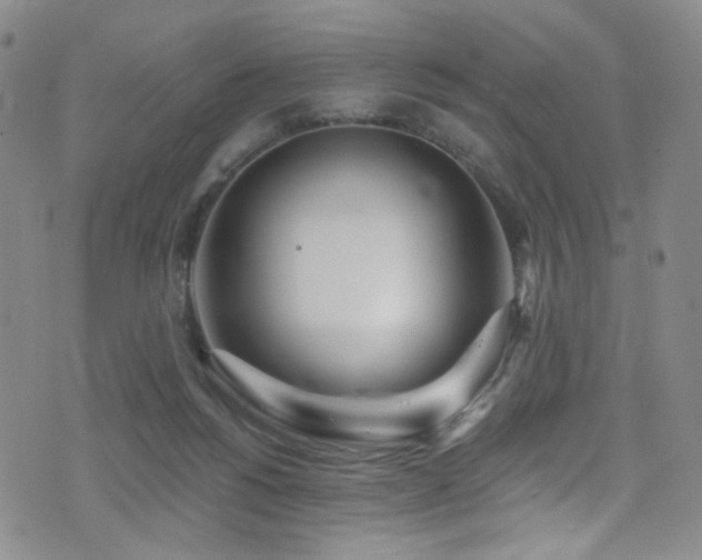 X0000076060168200609221132