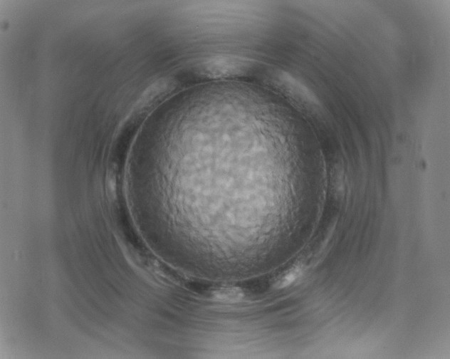 X0000076060214200609221132