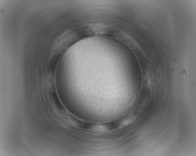 X0000076060218200609221132