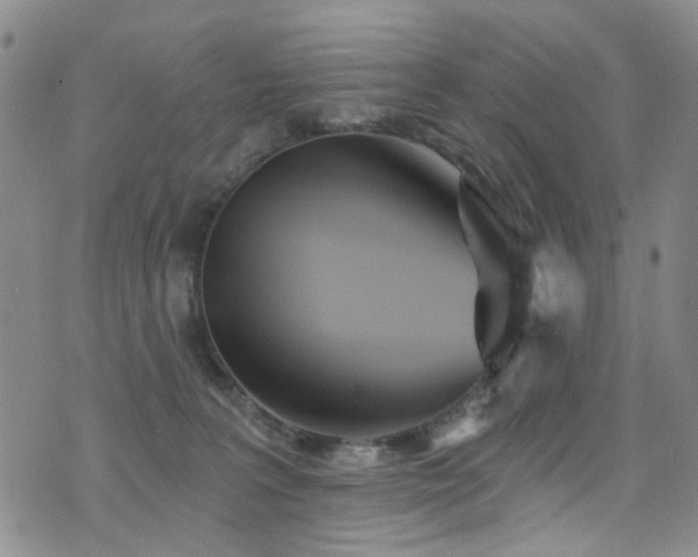 X0000076060227200609221131