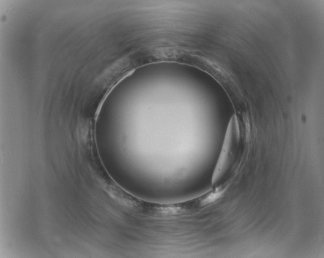 X0000076060233200609221131