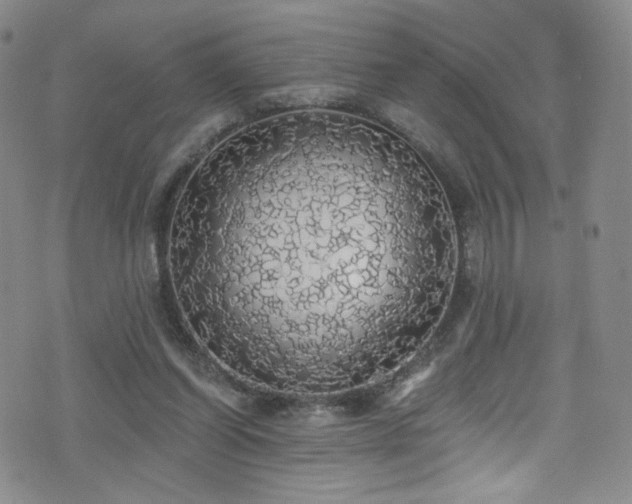 X0000076060254200609221131