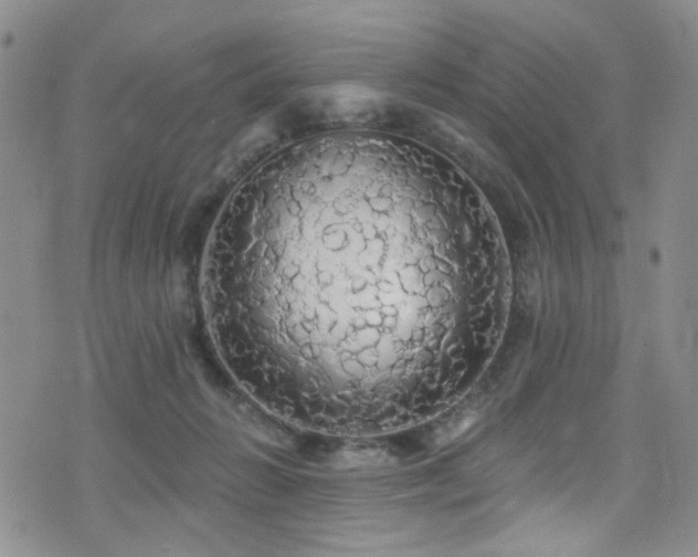 X0000076060270200609221131
