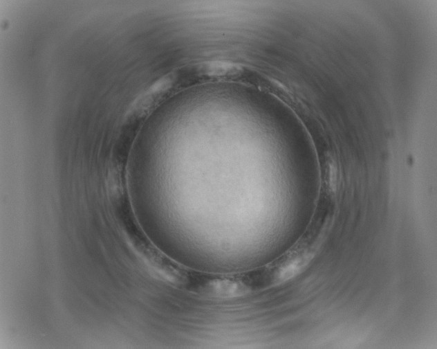 X0000076060272200609221131