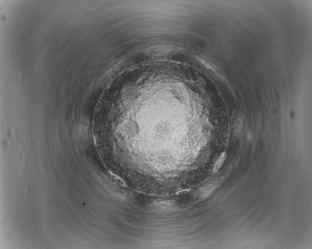 X0000076060283200609221131
