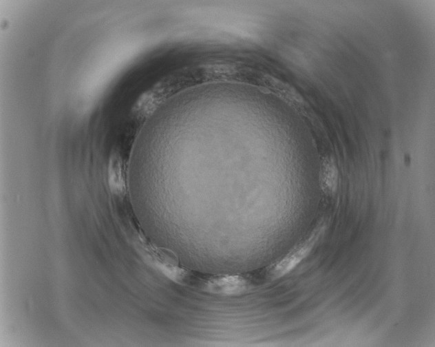 X0000076060431200609221128