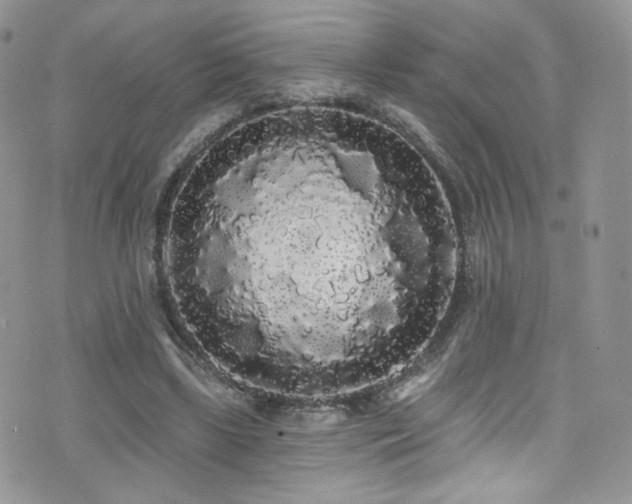X0000076060443200609221127