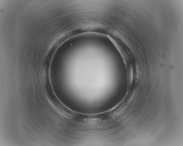 X0000076060448200609221127