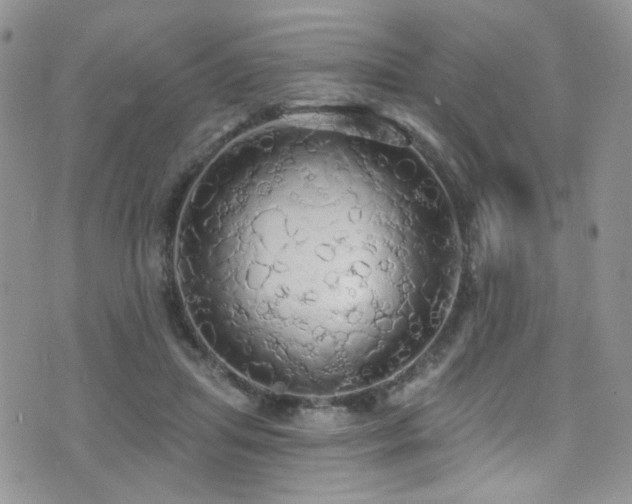 X0000076060455200609221128