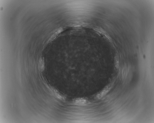 X0000076060471200609221128