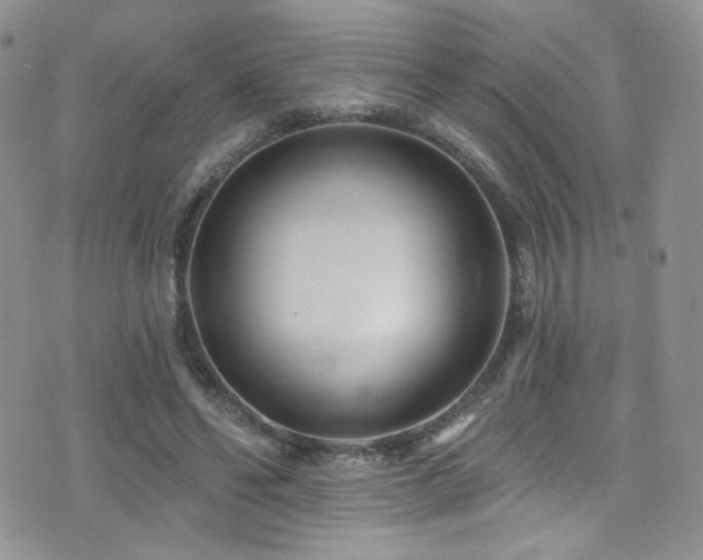 X0000076060494200609221127