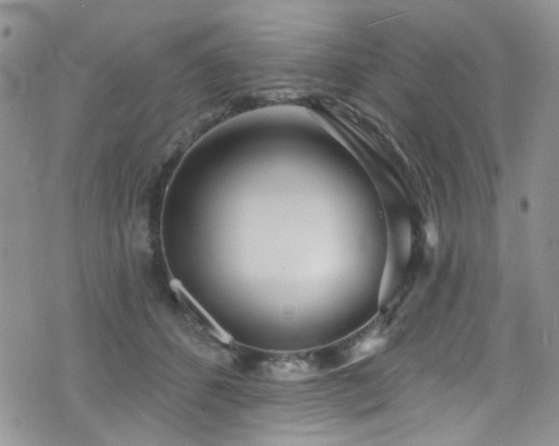 X0000076060512200609221127