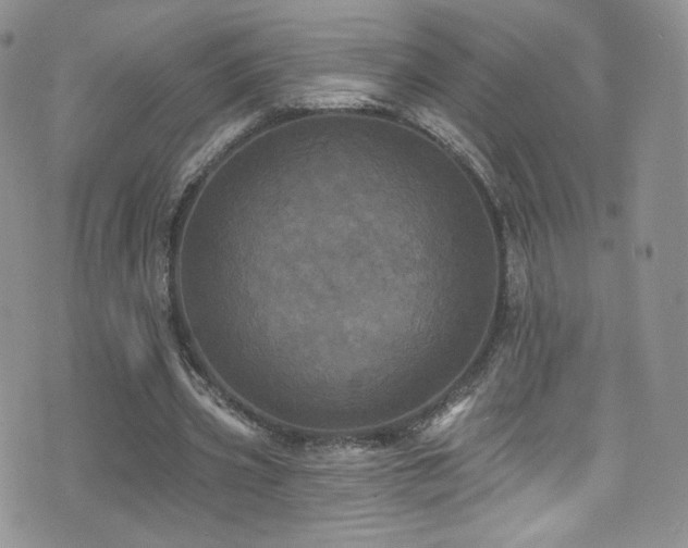 X0000076060533200609221126