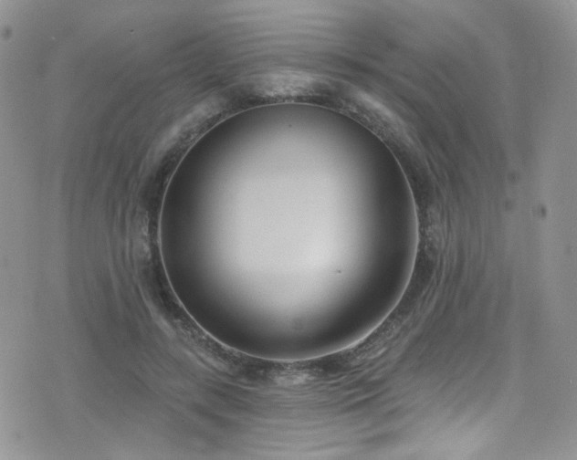 X0000076060547200609221126