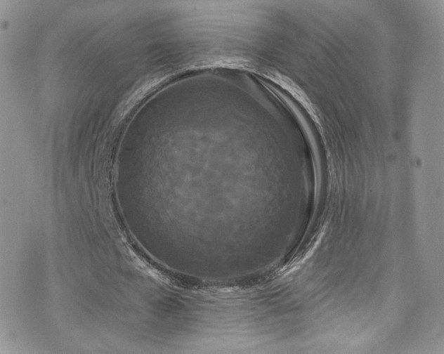X0000076060577200609221126