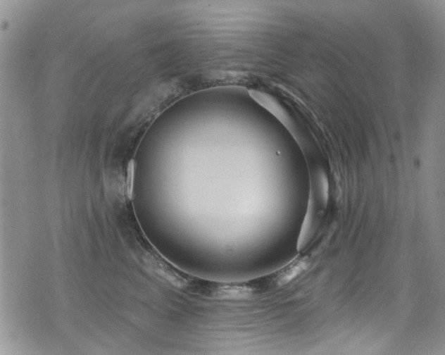 X0000076060617200609221125