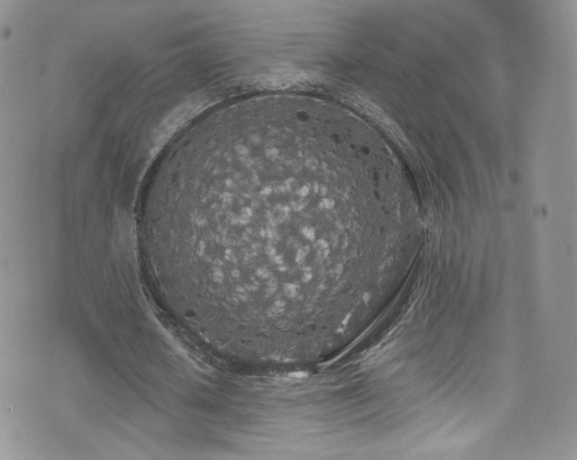 X0000076060626200609221124