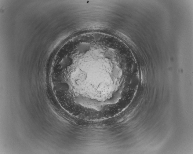 X0000076060627200609221124