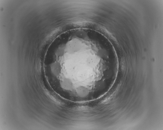 X0000076060637200609221124