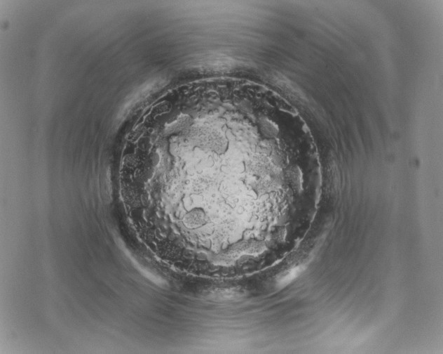 X0000076060638200609221124