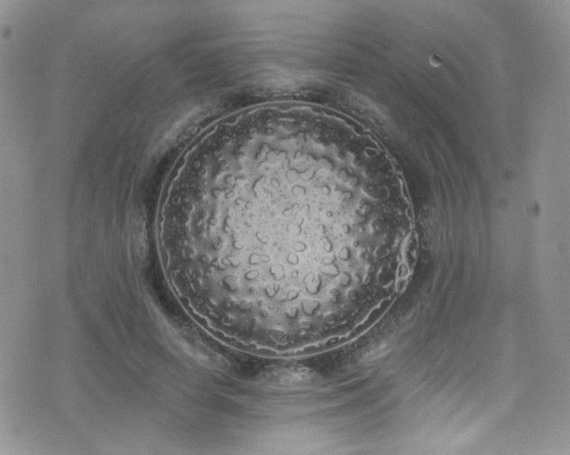 X0000076060642200609221124