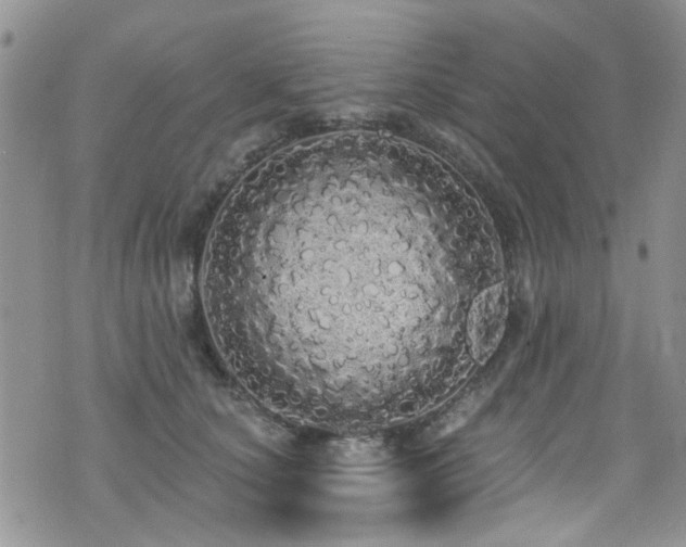 X0000076060660200609221125