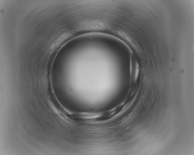 X0000076060677200609221124