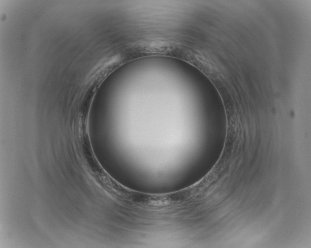 X0000076060744200609221123