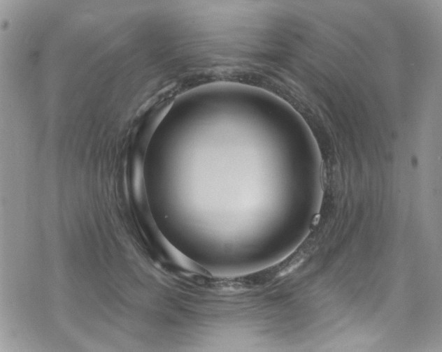 X0000076060750200609221123