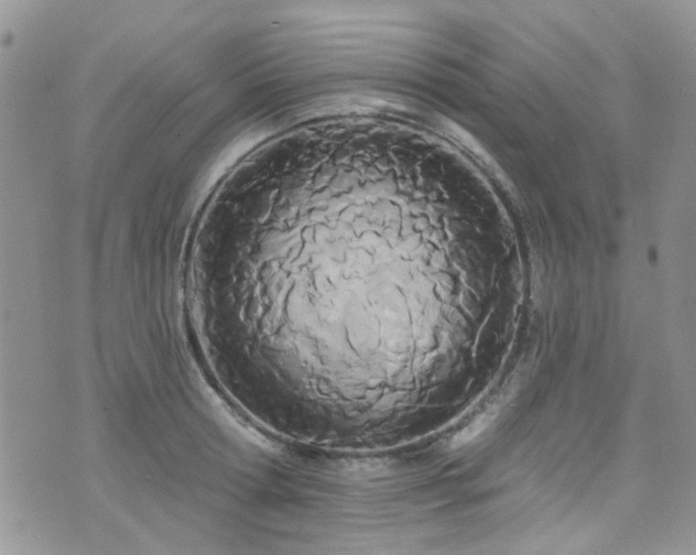 X0000076060802200609221122