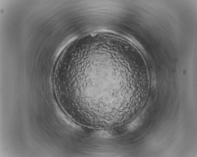 X0000076060806200609221122