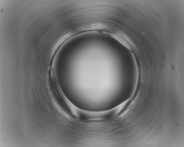 X0000076060850200609221121