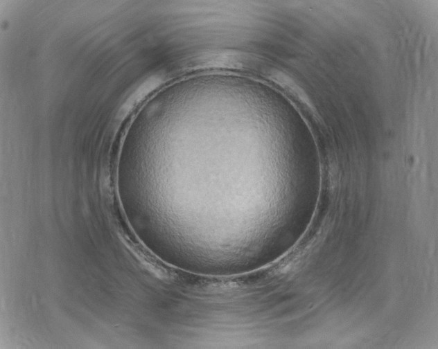 X0000076060882200609221121