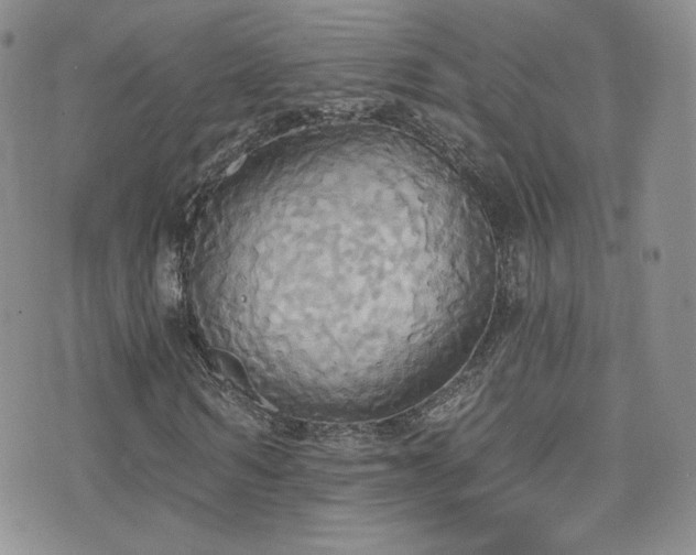 X0000076060962200609221119