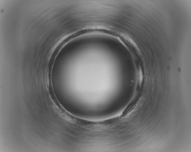 X0000076060984200609221119
