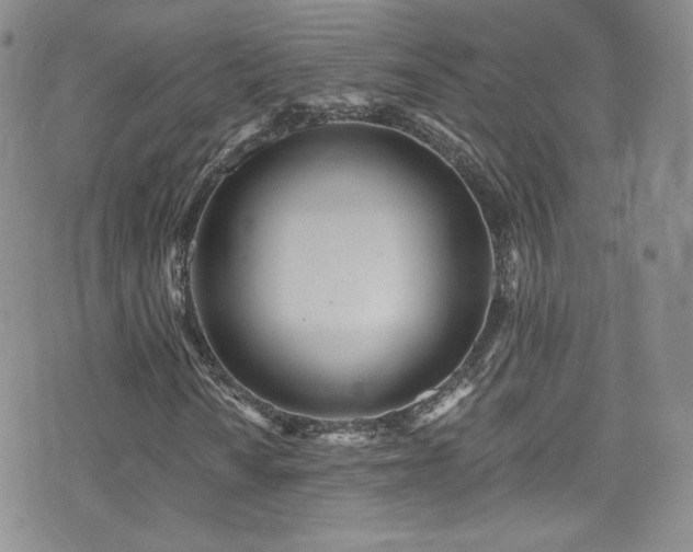 X0000076061010200609221118