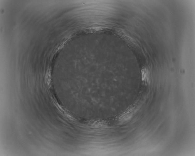 X0000076061011200609221118