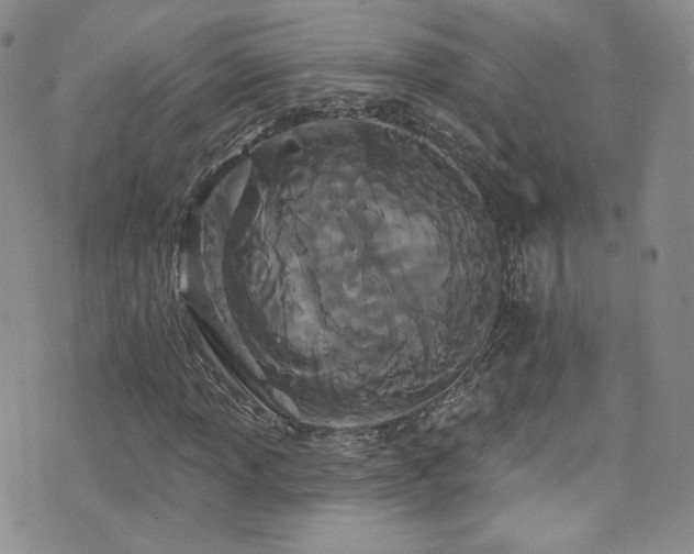 X0000076061013200609221118