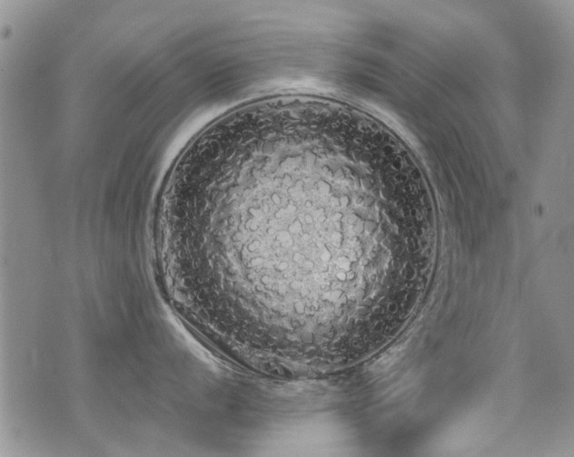 X0000076061056200609221118