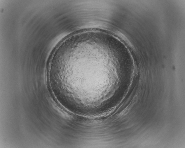 X0000076061076200609221117