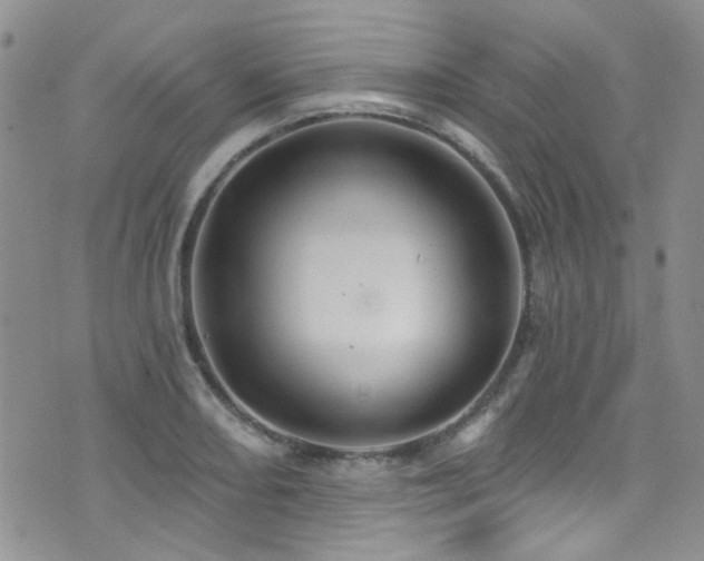 X0000076061082200609221117