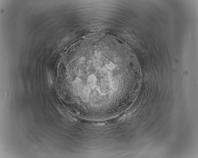 X0000076061106200609221116