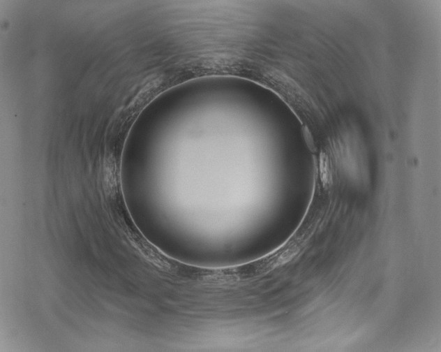 X0000076061107200609221116