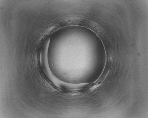 X0000076061108200609221116