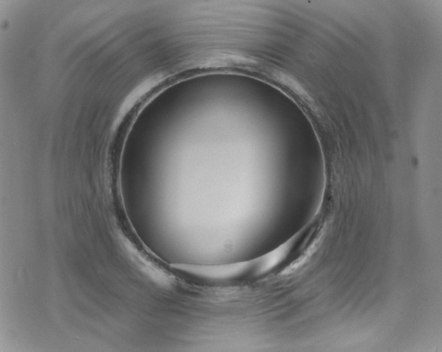 X0000076061122200609221116